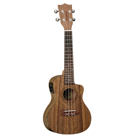 UKULELE TANGLEWOOD CONCERTO TWT-12E - TANGLEWOOD
