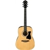 GUIT FOLK IBANEZ V50NJP NT PACK - IBANEZ