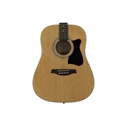 GUIT FOLK IBANEZ V50NJP NT PACK - IBANEZ