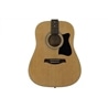 GUIT FOLK IBANEZ V50NJP NT PACK - IBANEZ