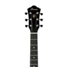 GUIT FOLK IBANEZ V50NJP NT PACK - IBANEZ