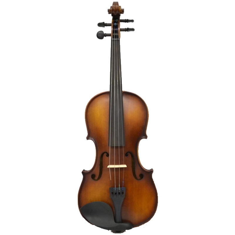 VIOLINO CARLO GIORDANO VS-15 1/2 - CARLO GIORDANO