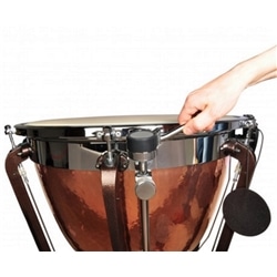 TIMPANO ADAMS SYMPHONIC 32" GEN II - ADAMS