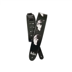 CORREIA GUIT D ADDARIO 25 LB01 - 915106883