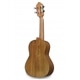CAVAQUINHO BRASILEIRO APC BR110 - APC
