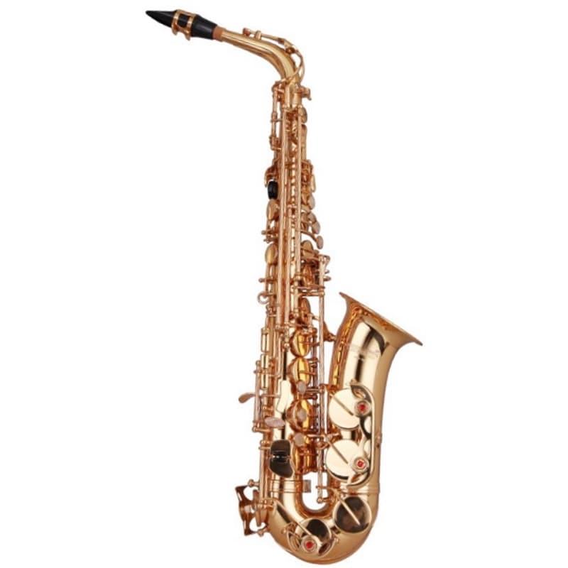 SAX ALTO WISEMANN DAS-350 - 174118424 SAX ALTO WISEMANN DAS-350 - 174118424