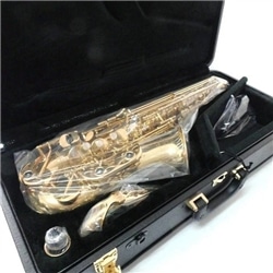 SAX ALTO WISEMANN DAS-350 - 174118424 SAX ALTO WISEMANN DAS-350 - 174118424