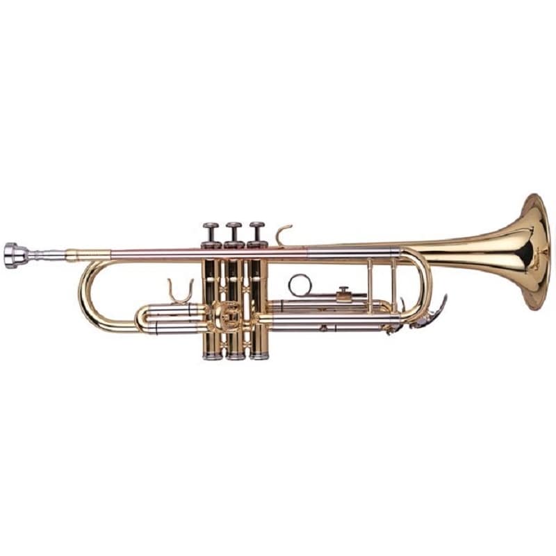 TROMPETE WISEMANN DTR-200 - WISEMANN