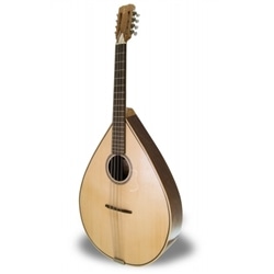 BANDOLONCELO APC MDO305 - 103818430