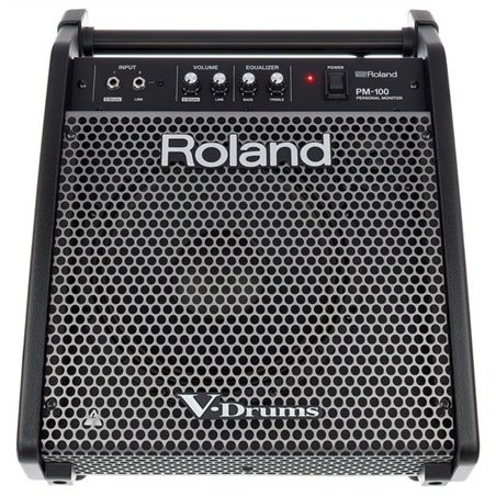 MONITOR ROLAND PM-100 - ROLAND