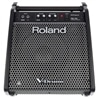 MONITOR ROLAND PM-100 - ROLAND