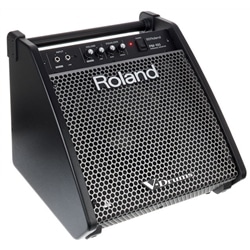 MONITOR ROLAND PM-100 - ROLAND