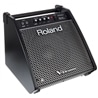 MONITOR ROLAND PM-100 - ROLAND