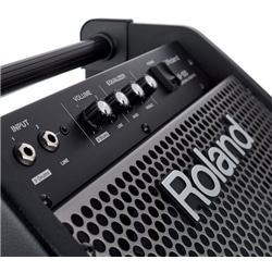 MONITOR ROLAND PM-100 - ROLAND