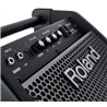 MONITOR ROLAND PM-100 - ROLAND