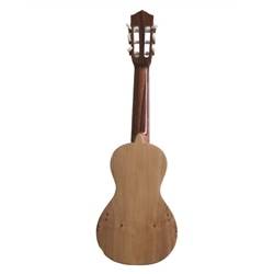 CAVAQUINHO ARTIMUSICA RJ83C RAJÃO MADEIRENSE 6 CORDAS - ARTIMUSICA