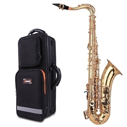 SAX TENOR WISEMANN DTS-350 - WISEMANN