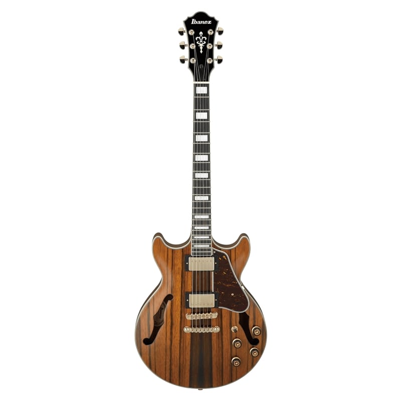 GUIT ELECT IBANEZ AM93ME-NT - 135118622 GUIT ELECT IBANEZ AM93ME-NT - 135118622