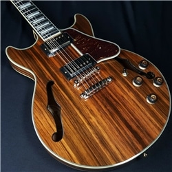 GUIT ELECT IBANEZ AM93ME-NT - 135118622