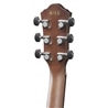 GUIT ELECT ACUST IBANEZ AEG50-DHH - IBANEZ