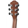 GUIT ELECT ACUST IBANEZ AEG50-IBH - IBANEZ