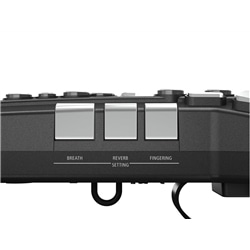 ROLAND AE-05 G - ROLAND