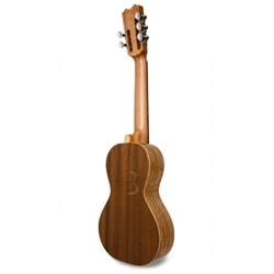 CAVAQUINHO RAJÃO APC 550 - APC