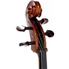 VIOLONCELO STENTOR STUDENT I 1/4 - STENTOR