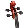 VIOLONCELO CERVINI HC-100 1/8 - CERVINI