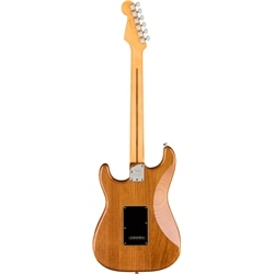 GUIT ELECT FENDER AM PRO II STRAT MN RP - FENDER