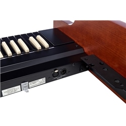 TECLADO INFERIOR HAMMOND XLK-5 - HAMMOND