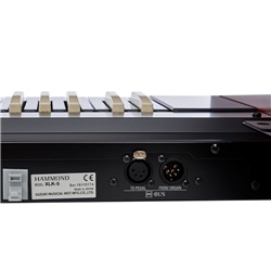 TECLADO INFERIOR HAMMOND XLK-5 - HAMMOND