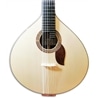 GUIT FADO ARTIMUSICA GP-72C LUXO COIMBRA EDIÇÃO LIMITADA - ARTIMUSICA