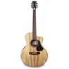 GUIT ELECT ACUST APC EA 300 KOA CW - 103816859