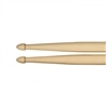 BAQUETA MEINL SB102 STANDARD 5B MADEIRA - MEINL