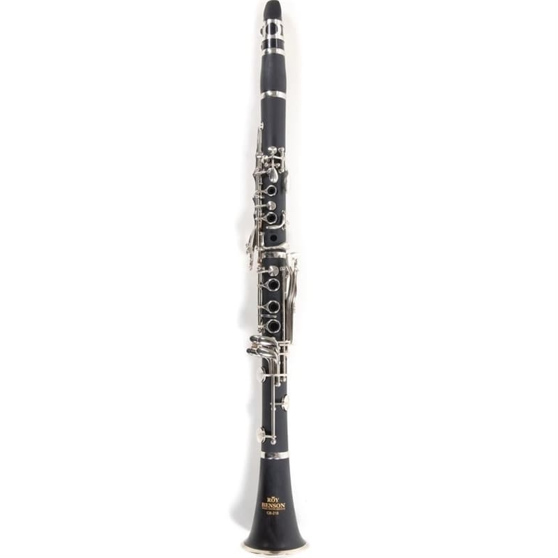 CLARINETE ROY BENSON CB-218 RB700451 - ROY BENSON