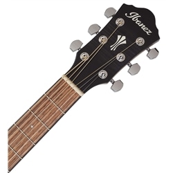 GUIT ELECT ACUST IBANEZ AEG70-TCH - IBANEZ