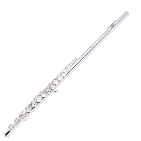 FLAUTA TRANSV STAGG - WS FL211S - STAGG