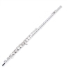 FLAUTA TRANSV STAGG - WS FL211S - STAGG