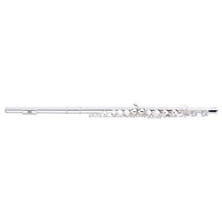 FLAUTA TRANSV STAGG - WS FL211S - STAGG