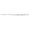 FLAUTA TRANSV STAGG - WS FL211S - STAGG