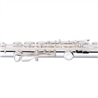 FLAUTA TRANSV STAGG - WS FL241S - STAGG