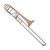 TROMBONE WISEMANN DTB-365 - WISEMANN