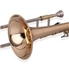 TROMBONE WISEMANN DTB-365 - WISEMANN