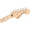 KIT FENDER HSS AFFINITY STRAT GB 15G LPB - FENDER