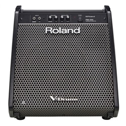 MONITOR ROLAND PM-200 BATERIA - 153718251