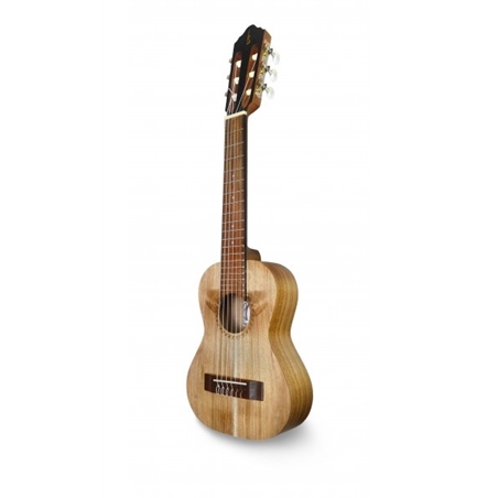 GUITALELE APC GS - APC