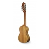 GUITALELE APC GS - APC