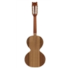 VIOLA CAMPANIÇA ARTIMUSICA VA40S - ARTIMUSICA