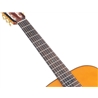 GUIT CLASSICA VALENCIA VA-434 4/4 AUDITORIUM VINTAGE NAT - VALENCIA